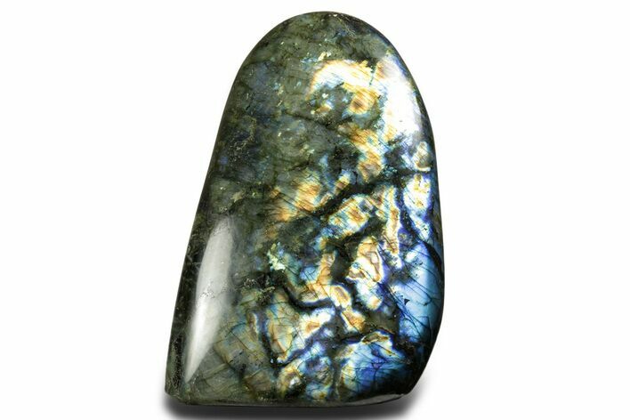 Flashy Free-Standing Polished Labradorite - Madagascar #361970